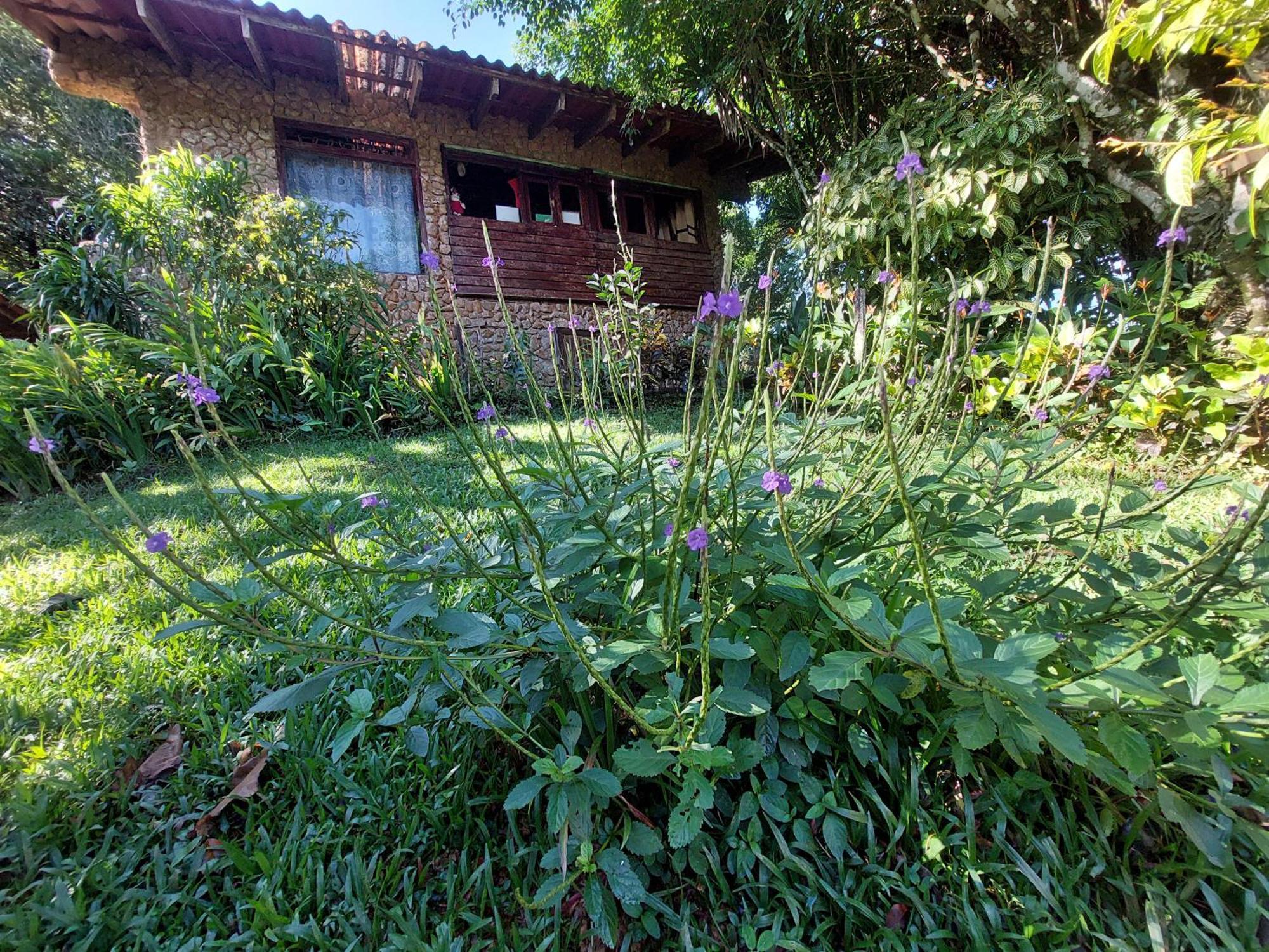Mandalas Ecolodge Ecotourism Cerro Azul Room photo