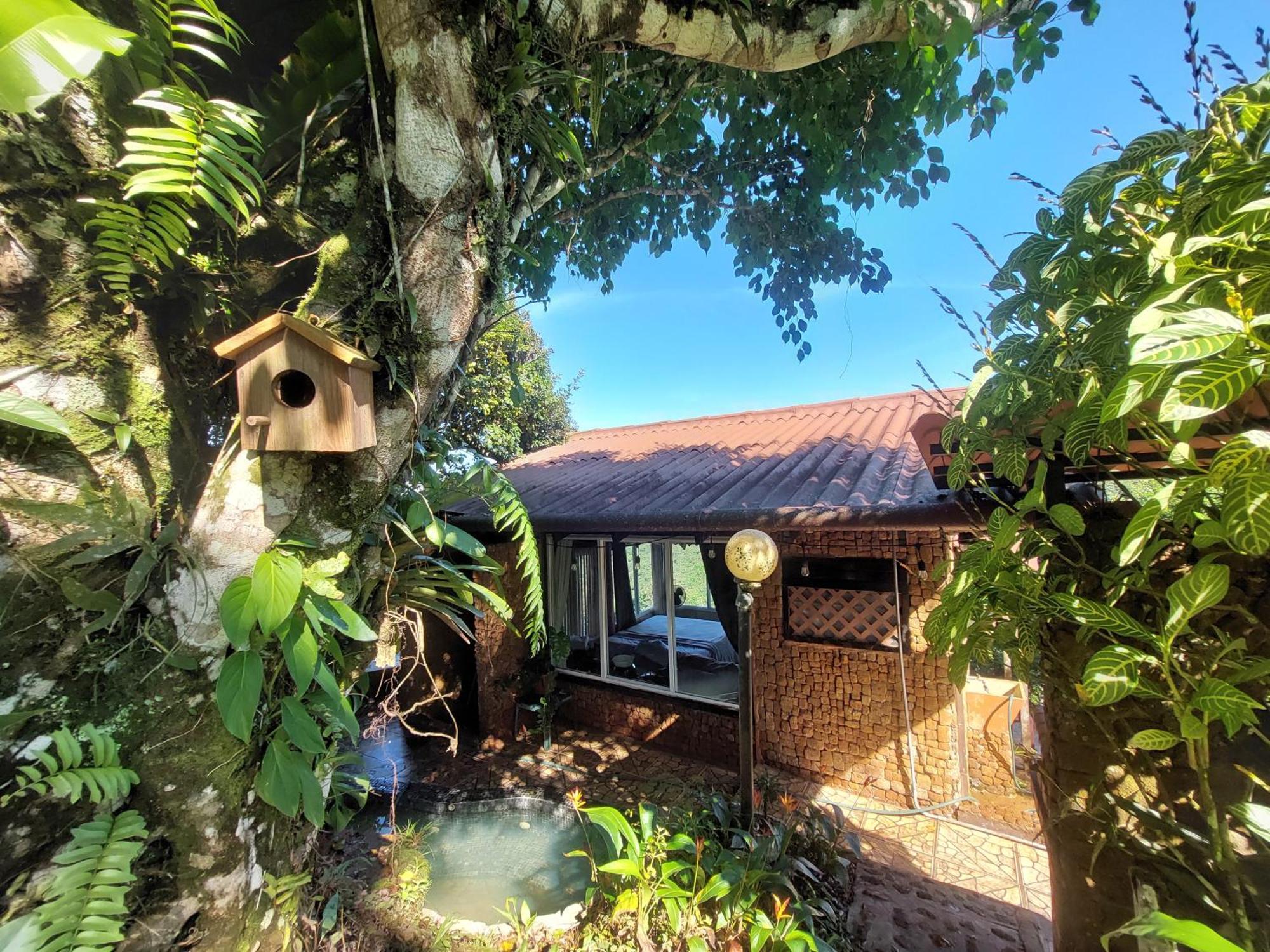 Mandalas Ecolodge Ecotourism Cerro Azul Room photo